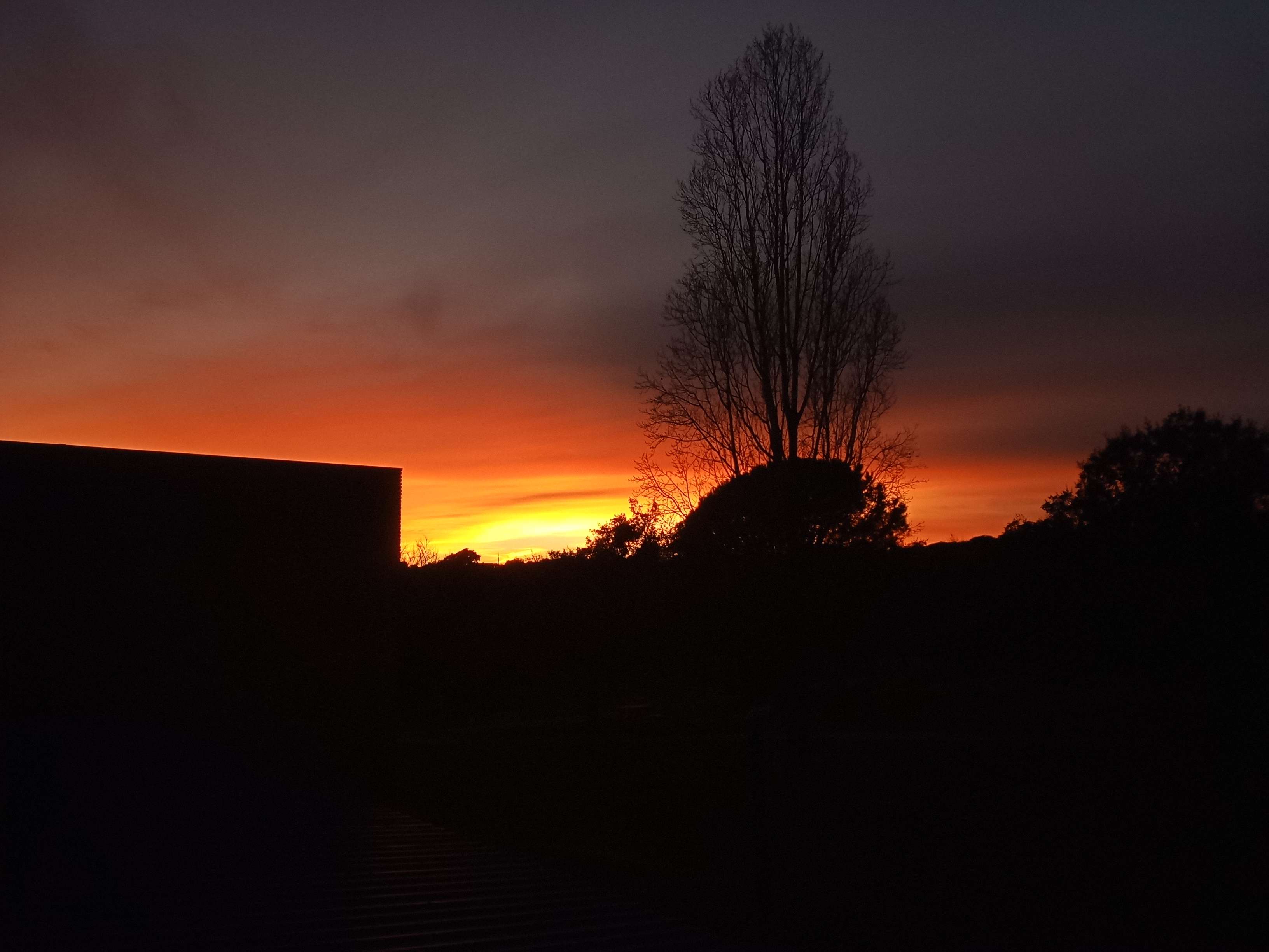 sunsets are so yummy. that was this websites original theme, it was going to be mostly sunsets. if you read this and its more sunset themed then i've changed it!